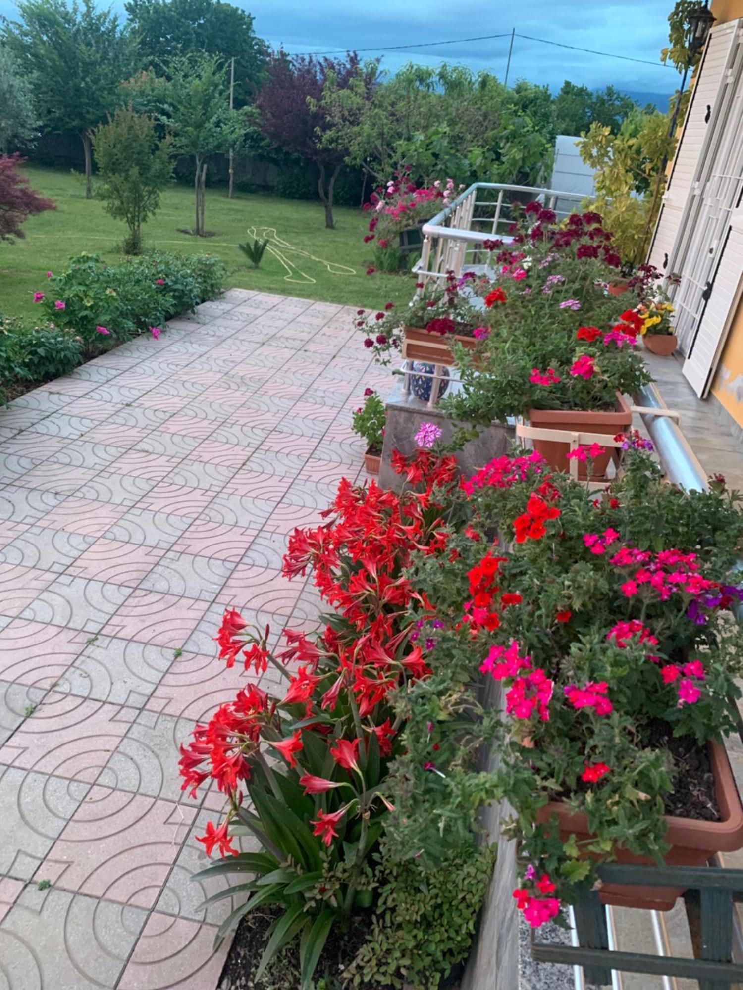 Hotel Villa Linda Shkodra Exterior foto